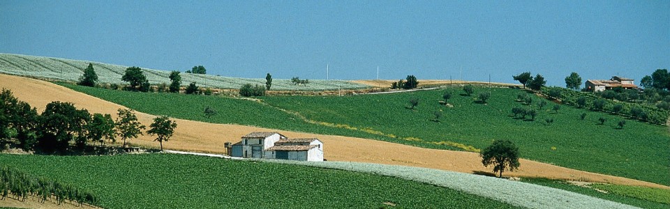 Il fascino della collina